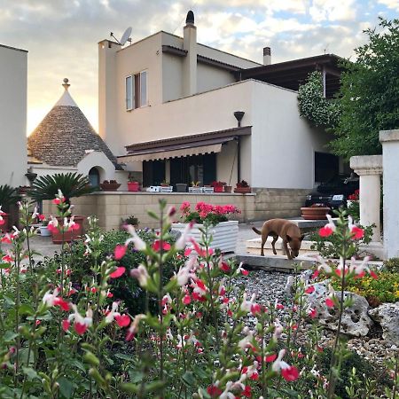アルベロベッロ Casa Delle Rondini Bed & Breakfast エクステリア 写真