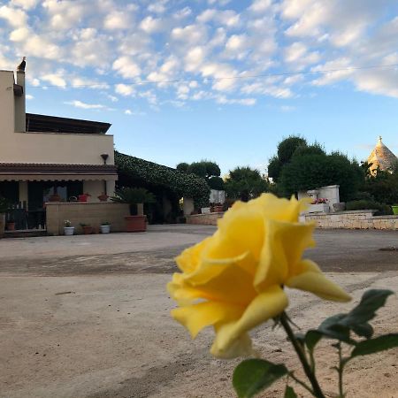 アルベロベッロ Casa Delle Rondini Bed & Breakfast エクステリア 写真