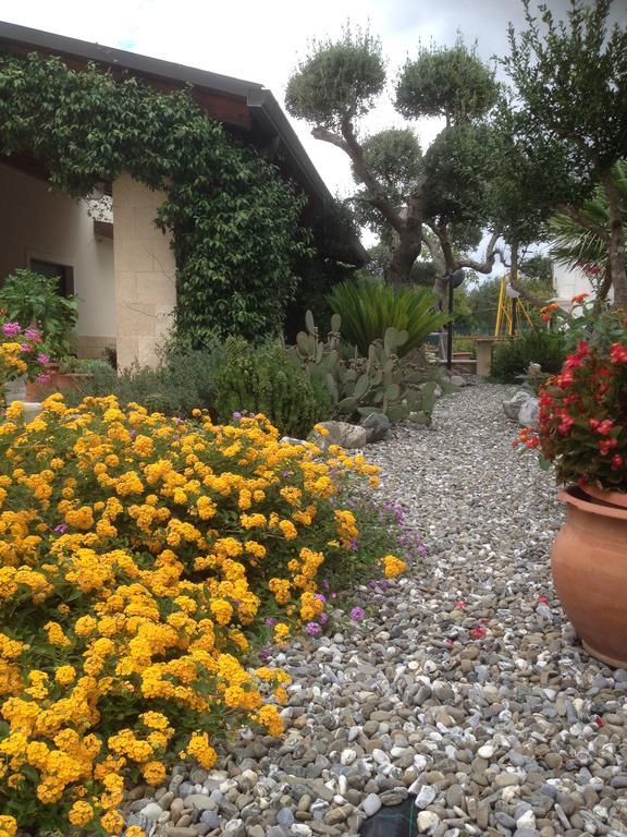 アルベロベッロ Casa Delle Rondini Bed & Breakfast エクステリア 写真