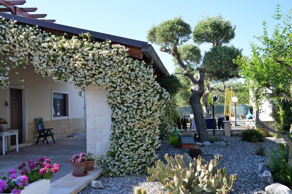 アルベロベッロ Casa Delle Rondini Bed & Breakfast エクステリア 写真